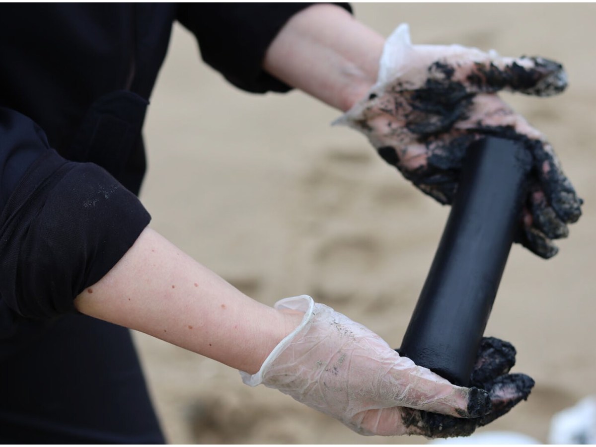 Sedimentary relations: cultures of access and the matter of shallow seabed&nbsp;coring.