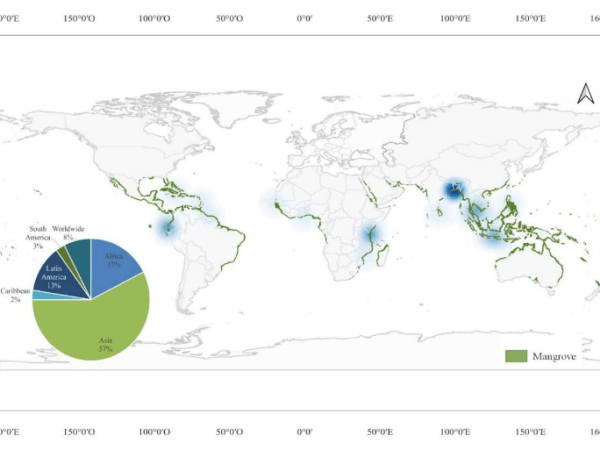 Community-based management and co-management of mangroves in the Anthropocene: A global review of current topics and&nbsp;trends