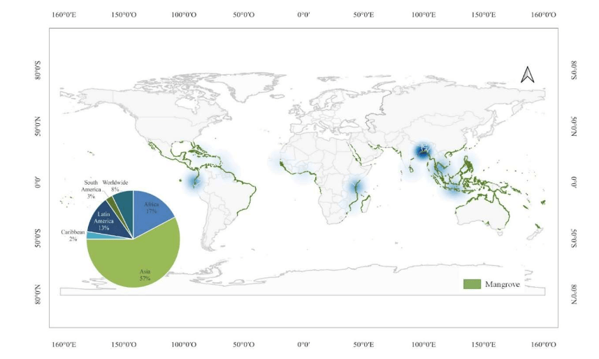 Community-based management and co-management of mangroves in the Anthropocene: A global review of current topics and&nbsp;trends