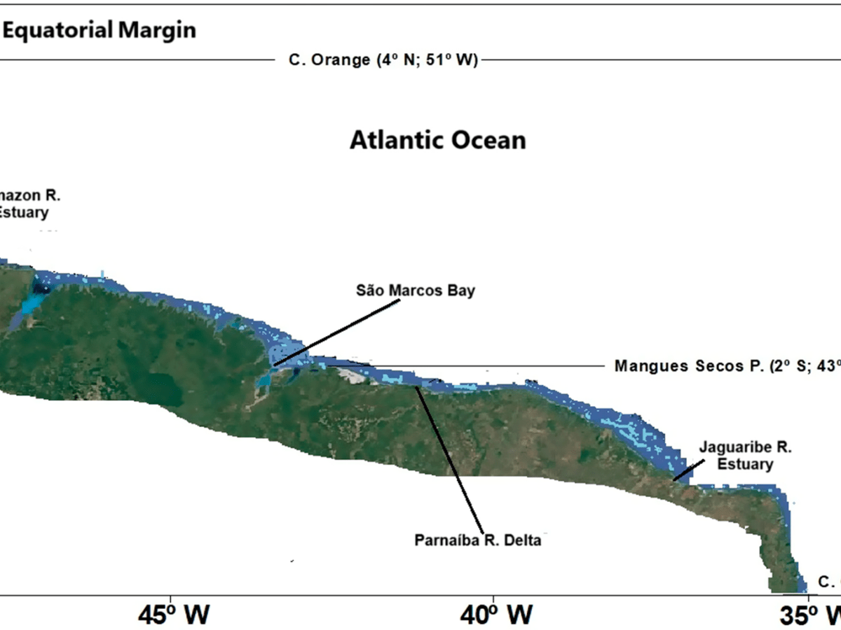 Challenges to mangroves of the Semiarid Equatorial Coast of Brazil in the&nbsp;Anthropocene