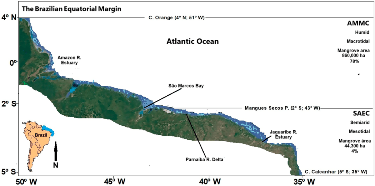 Challenges to mangroves of the Semiarid Equatorial Coast of Brazil in the&nbsp;Anthropocene