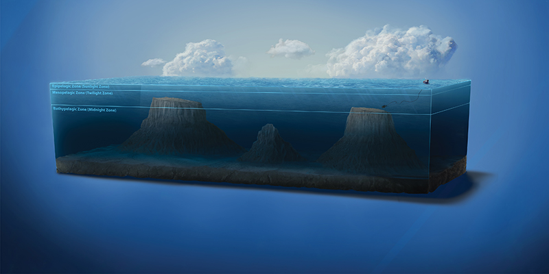 A rendering of Giacomini and Quinn seamounts (the two large seamounts, left to right) in the Gulf of Alaska. The Exploring Pelagic Biodiversity of the Gulf of Alaska and the Impact of Its Seamounts expedition focused on the deep waters around these seamounts.