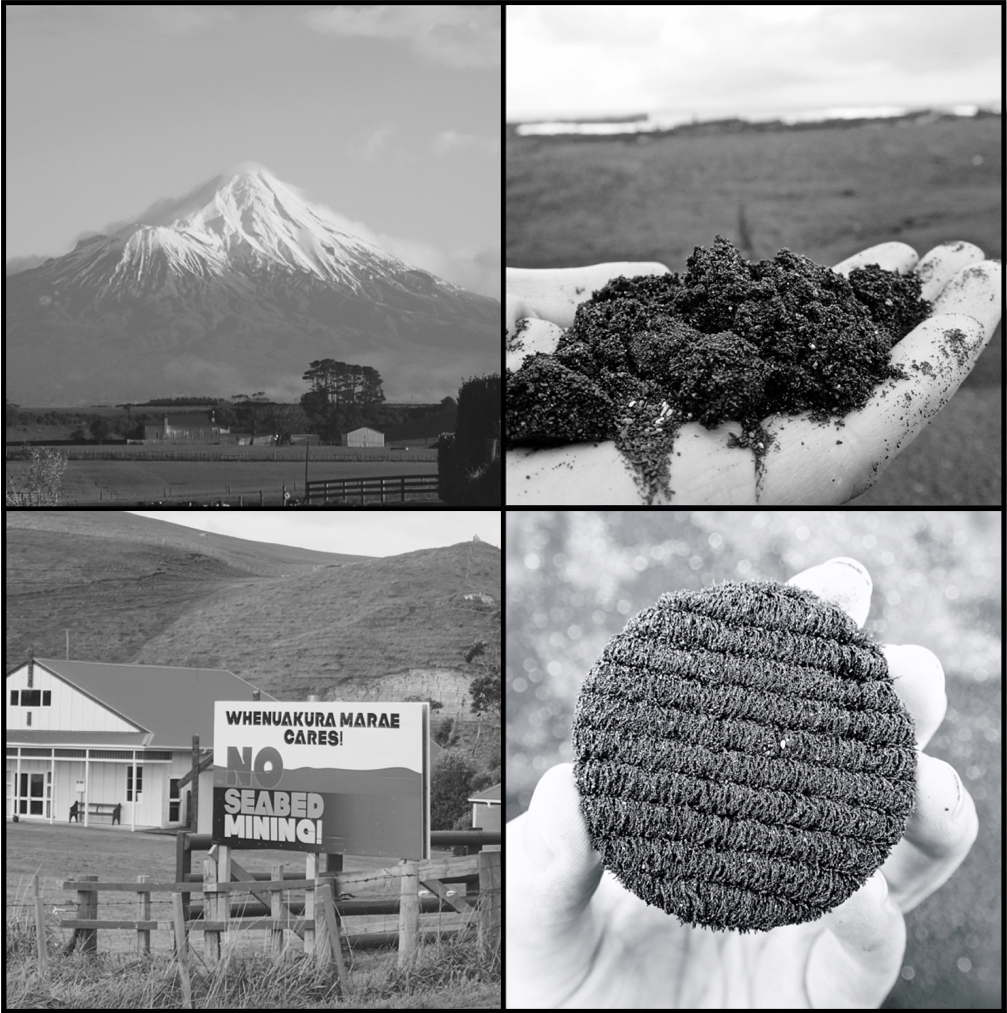 Kauri and the whale: Oceanic matter and meaning in New&nbsp;Zealand