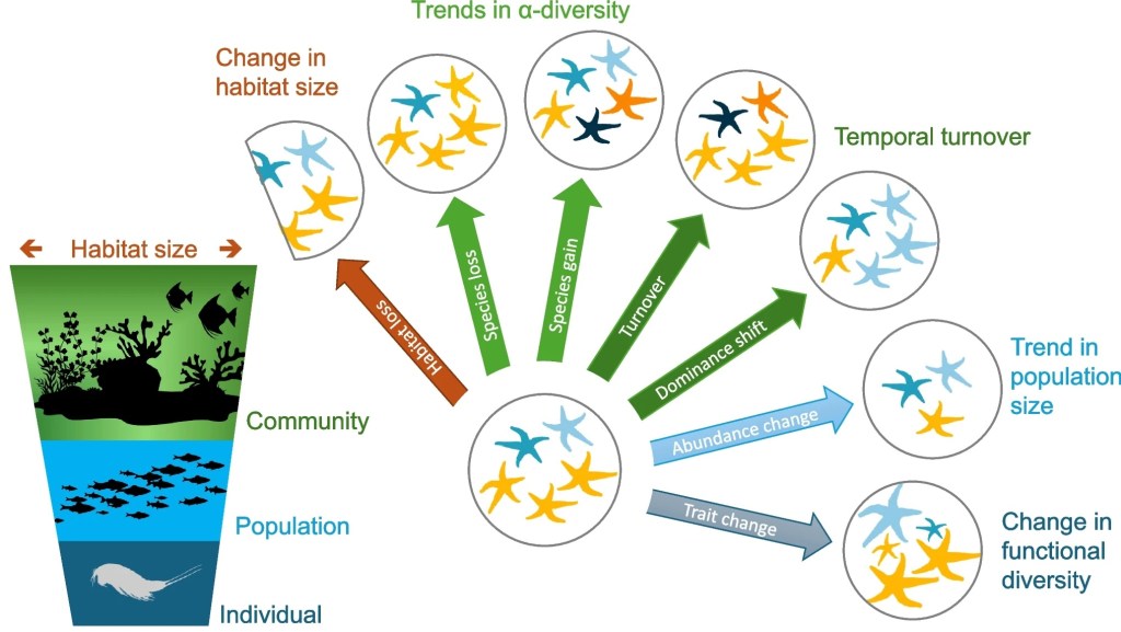 Towards a broader perspective on marine biodiversity&nbsp;change