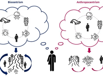 Through the Eyes of Another: Using a Narrative Lens to Navigate Complex Social-Ecological Systems and to Embrace Multiple Ways of&nbsp;Knowing